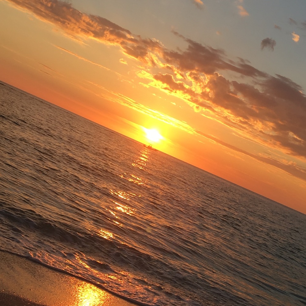 Meet your Posher, Emmi